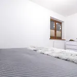 Tatra *
